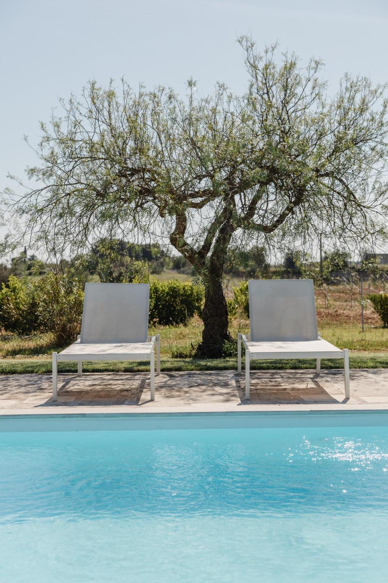 Gli Ulivi Di Gino Bed & Breakfast Sanarica Exterior photo
